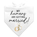 Let your furry friend celebrate the big day in style with this charming pet bridal bandana. Featuring crisp black lettering and elegant gold ring accents on a classic white background, it's the perfect way to include your beloved companion in wedding festivities. Whether your pup is a ring bearer, guest of honor, or simply part of the celebration, this bandana adds a touch of wedding magic to any pet's look. An ideal gift for pet-loving brides-to-be who want their four-legged family members to share in the 