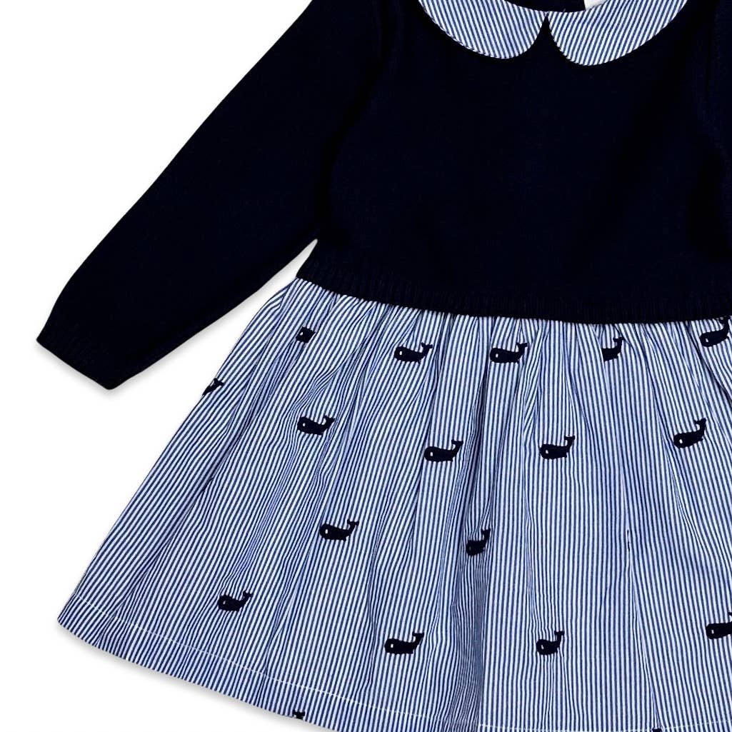Embroidered Pinstripe Baby Sweater Knit Dress