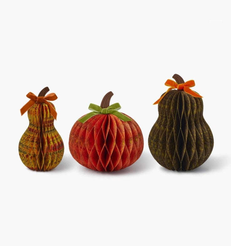 Honeycomb Harvest Gourds - Rifle Paper