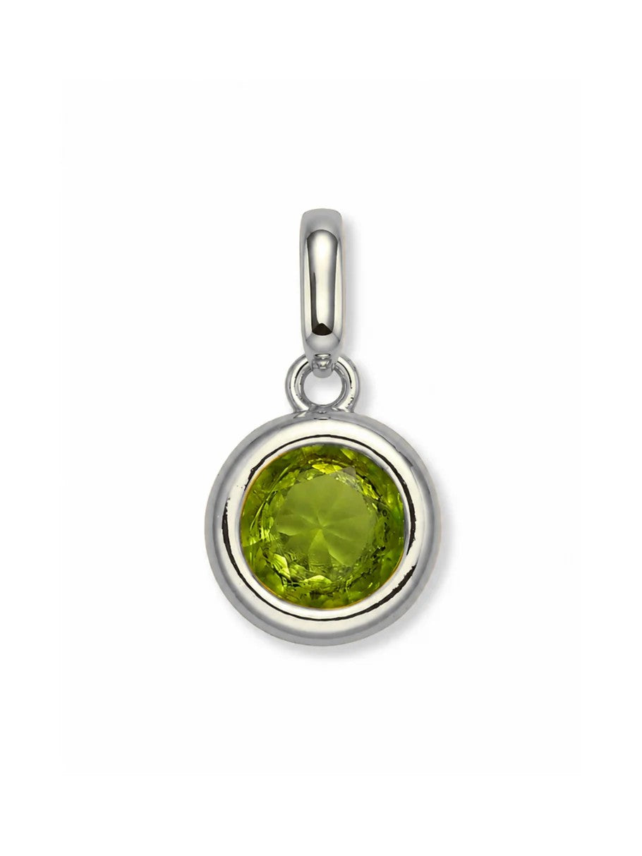 Clip Charms - Silver Hardware