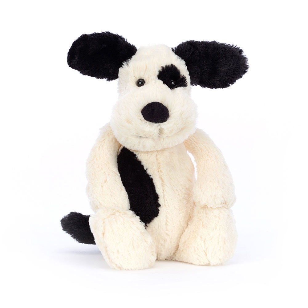 Bashful Rufferty (Black & Cream) Puppy - Medium