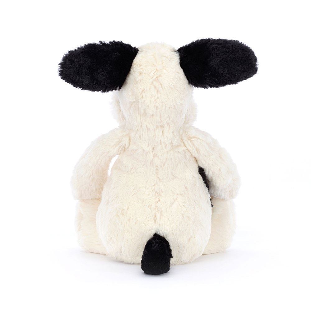 Bashful Rufferty (Black & Cream) Puppy - Medium