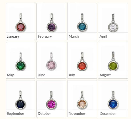 Clip Charms - Silver Hardware