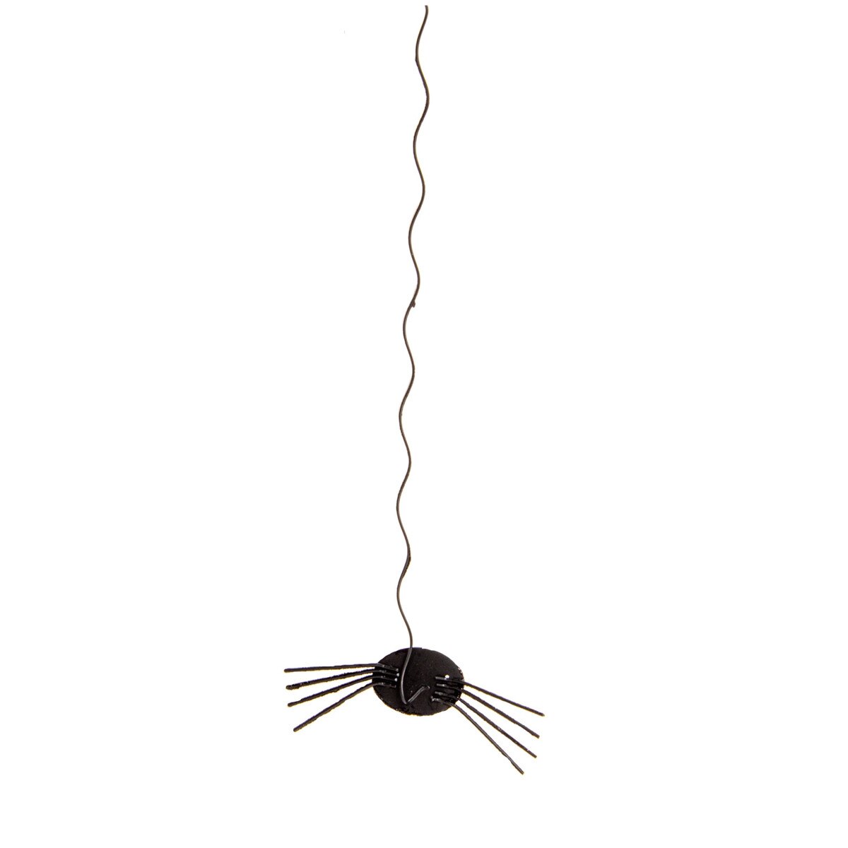 Spider Hanging