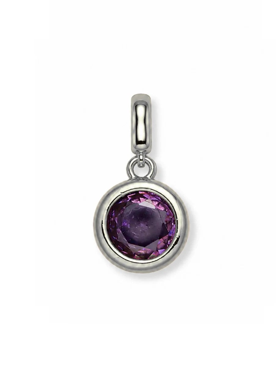 Clip Charms - Silver Hardware