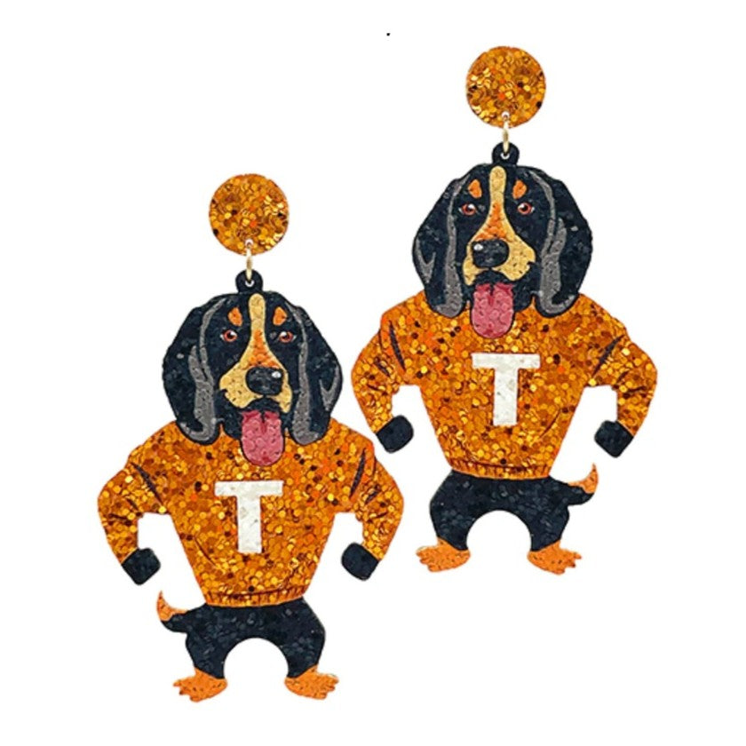 Sparkly Collegiate Earrings