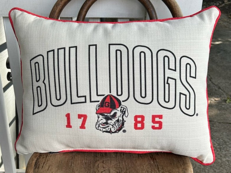 Collegiate Pillows