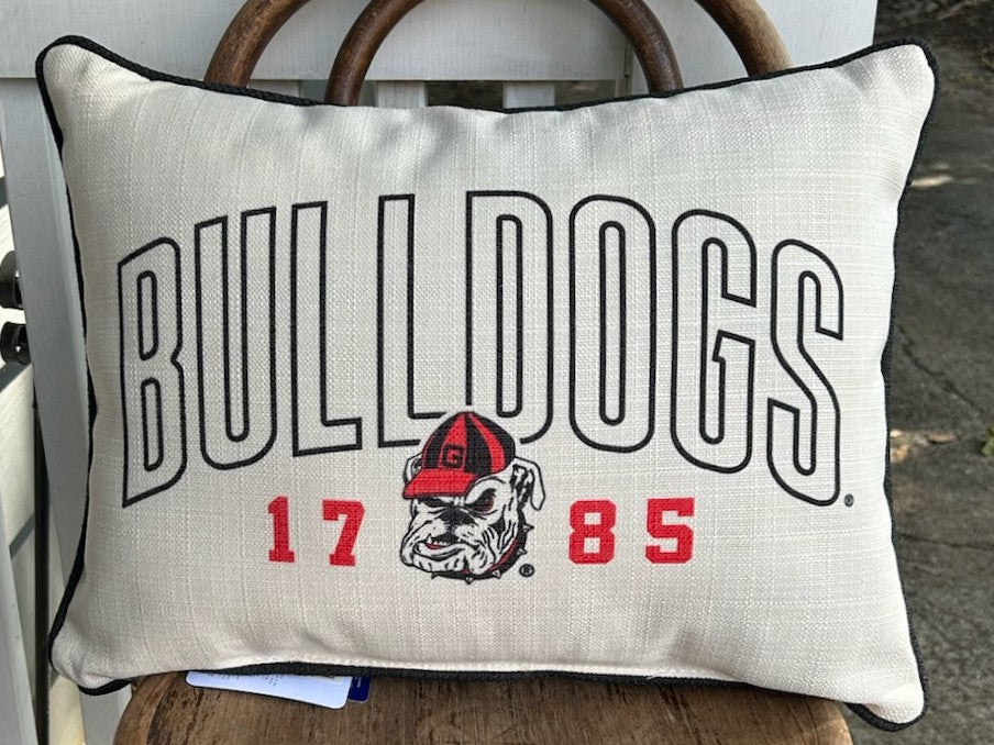 Collegiate Pillows