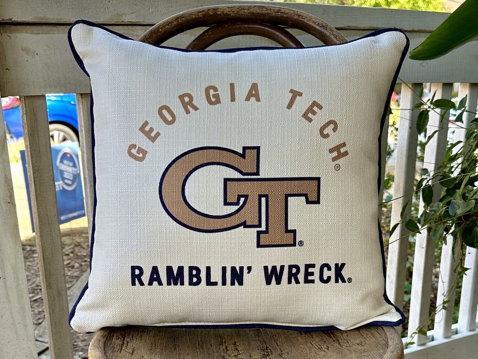 Collegiate Pillows