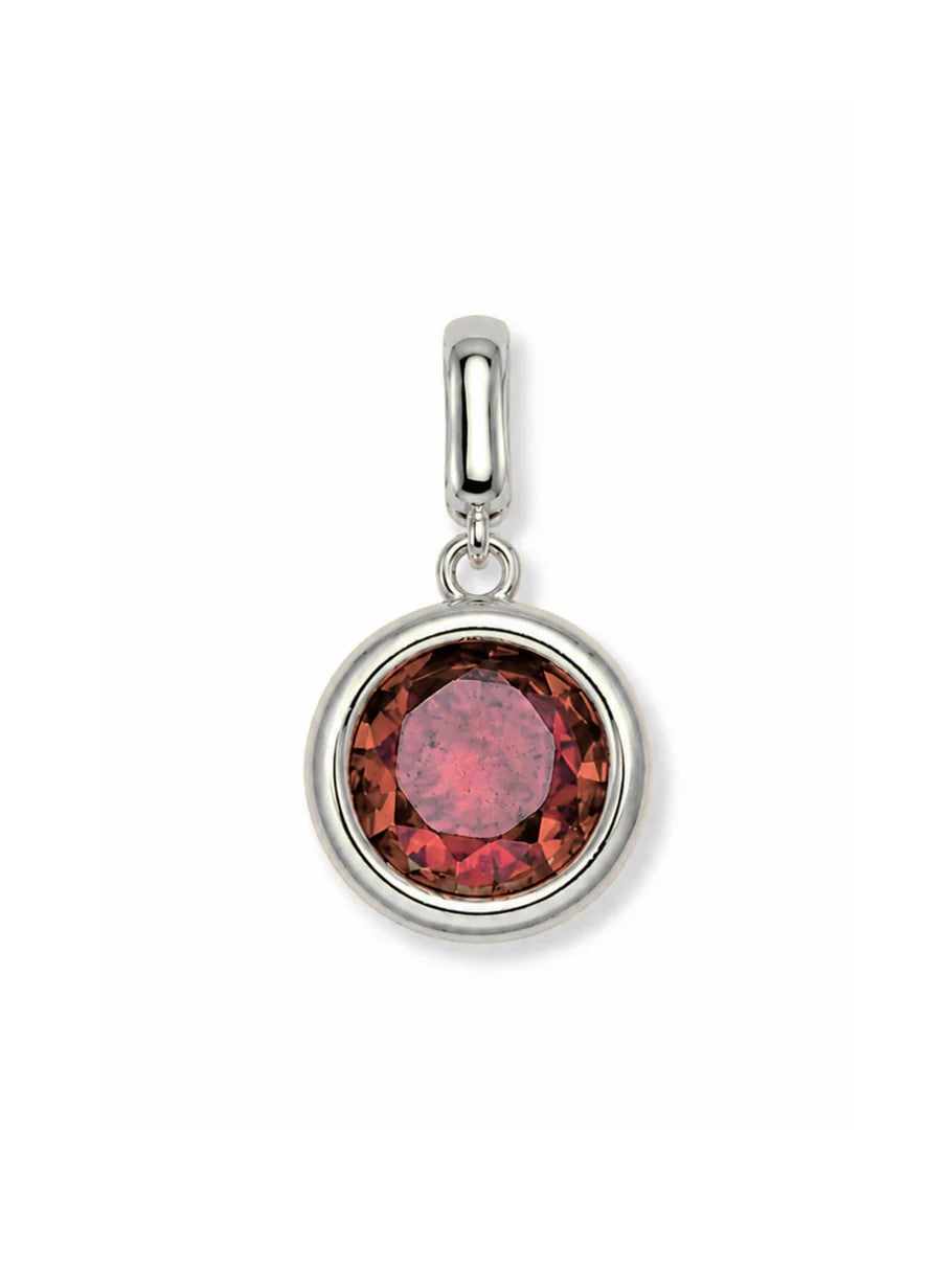 Clip Charms - Silver Hardware