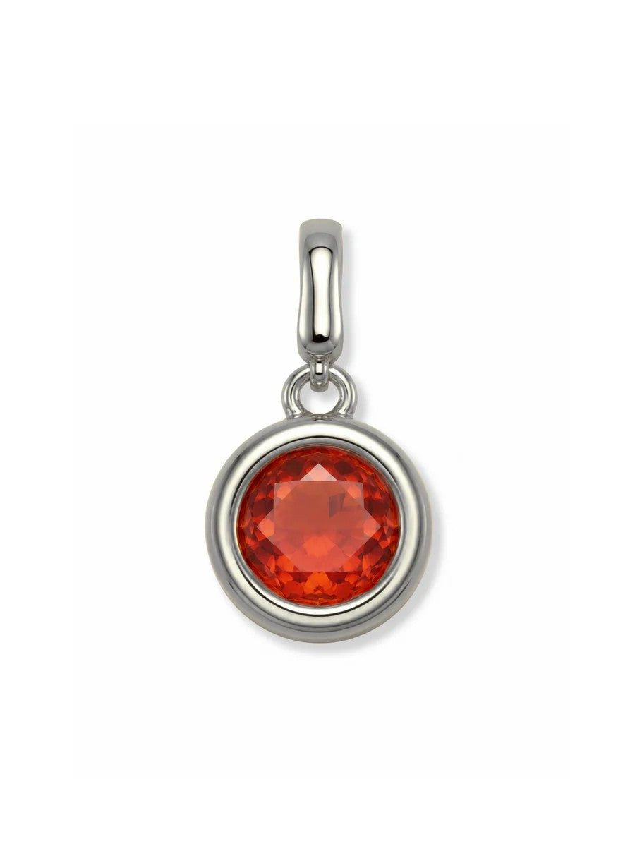 Clip Charms - Silver Hardware