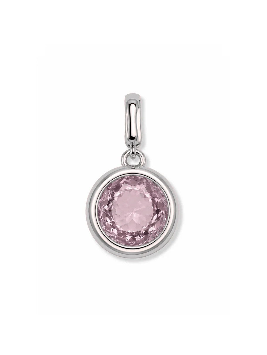 Clip Charms - Silver Hardware