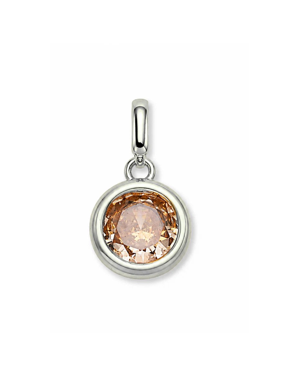 Clip Charms - Silver Hardware