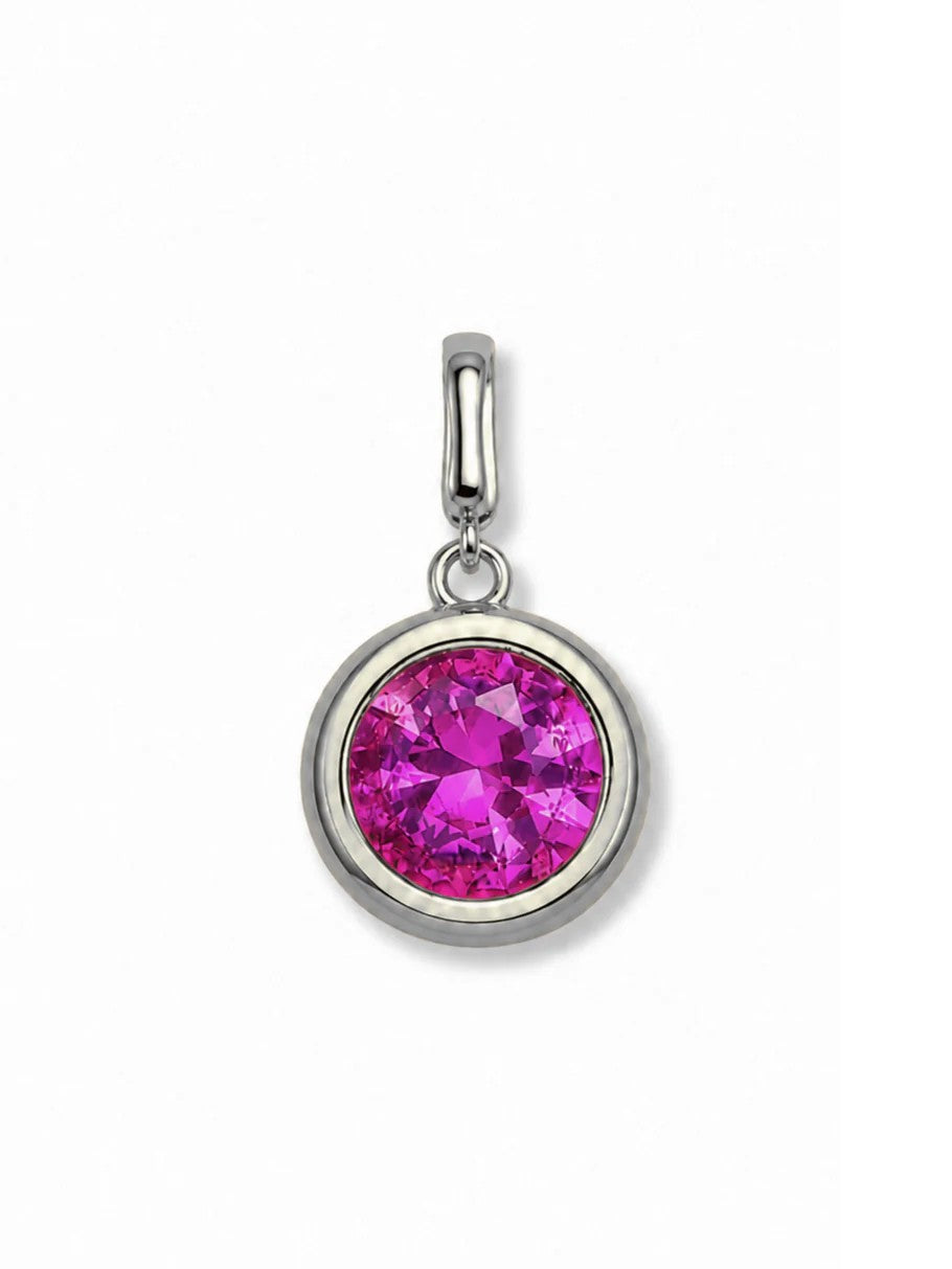 Clip Charms - Silver Hardware