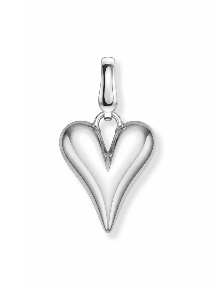 Clip Charms - Silver Hardware