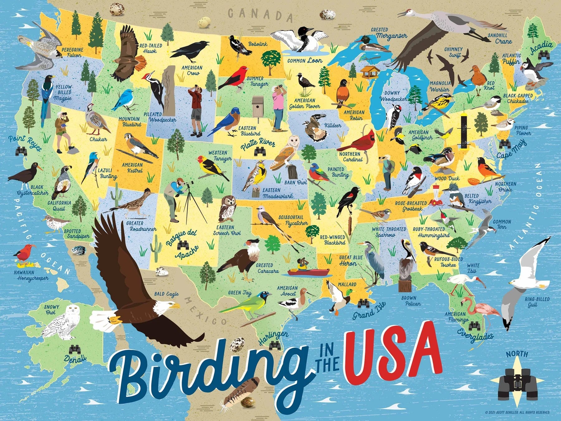 It is time to flock together to assemble Birding in the USA puzzle! Designer Scott Schiller has made it possible to partake in one of our favorite pastimes without the need to sound a pish or to peer through binoculars.

True South puzzles are made with 80-point blue board, which creates a thicker puzzle piece with a more solid "hand."
All puzzles are stamped with metal dies made by one of the few artists in the world who creates jigsaw puzzle die masters by hand.
Puzzle images are created in a collaborativ