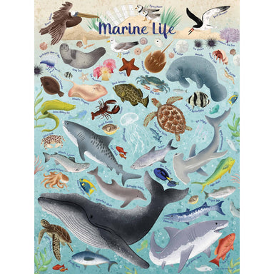 Marine life lovers and puzzle enthusiasts can now join together for a deep dive into the ocean thanks to Carolyn Hansen's new puzzle. This design starts at the top with the beach, moves through the shallow waters and into the deep sea.

True South puzzles are made with 80-point blue board, which creates a thicker puzzle piece with a more solid "hand."
All of our puzzles are stamped with metal dies made by one of the few artists in the world who creates jigsaw puzzle die masters by hand.
Puzzle images are cr