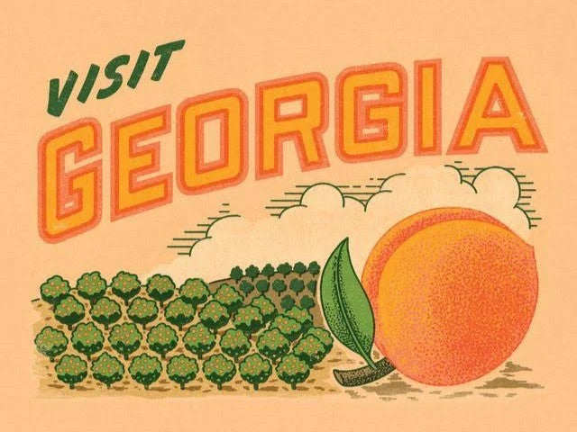 Visit Georgia Mini Puzzle