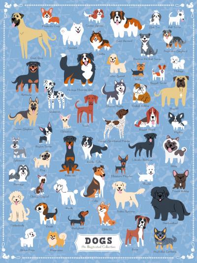 Dog Puzzles (Illustrated)
