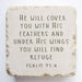 Small Scripture Stone - Psalm 91:4