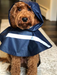 How adorable is the pup in his rain jacket?!  The navy jacket with the reflective stripes will keep him relatively dry and safe.