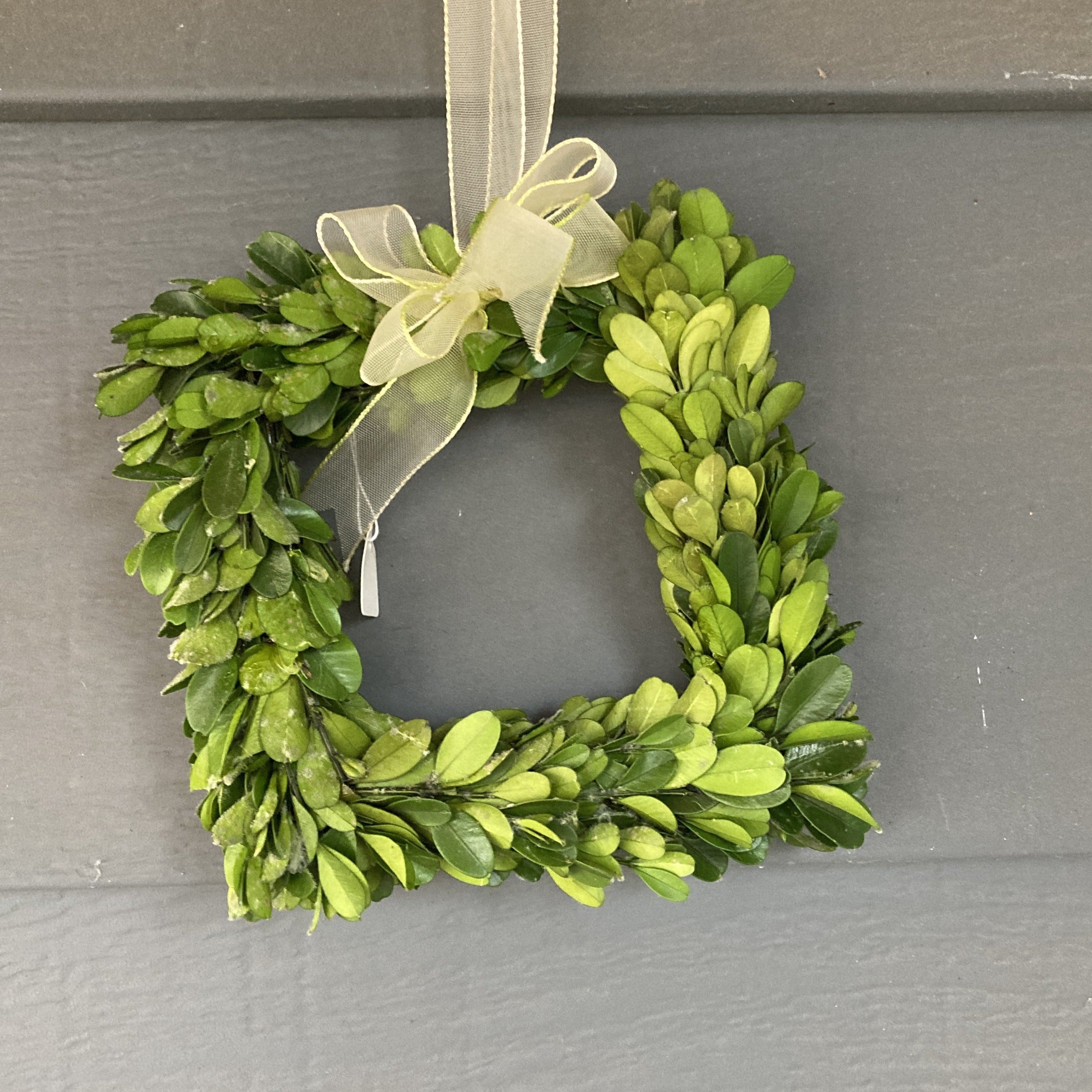 Christmas Juniper Wreath, Preserved Greenery Wreath, Small Holiday Wreath,  Window Wreath, Fresh Wreath, Mini Boxwood Wreath, Fresh Wreaths 