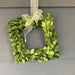 Boxwood Wreath - 6" Square