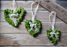 Small Boxwood Wreaths - 6", 8", and 10”