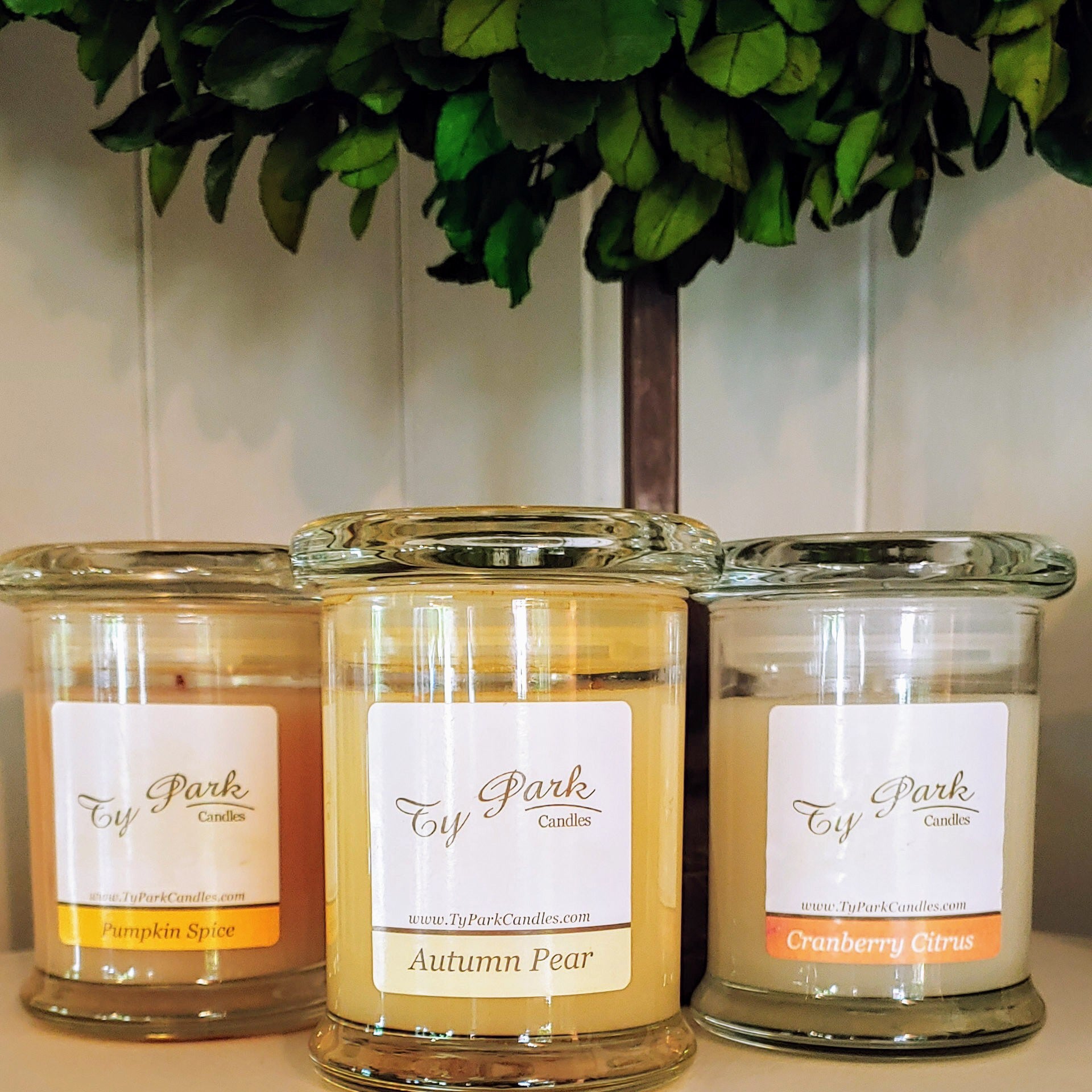 TY Park Candles