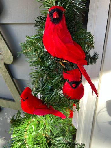 Red Feathered Cardinals: These are the prettiest red cardinal birds that will brighten your holiday décor! Select the size just right for you.