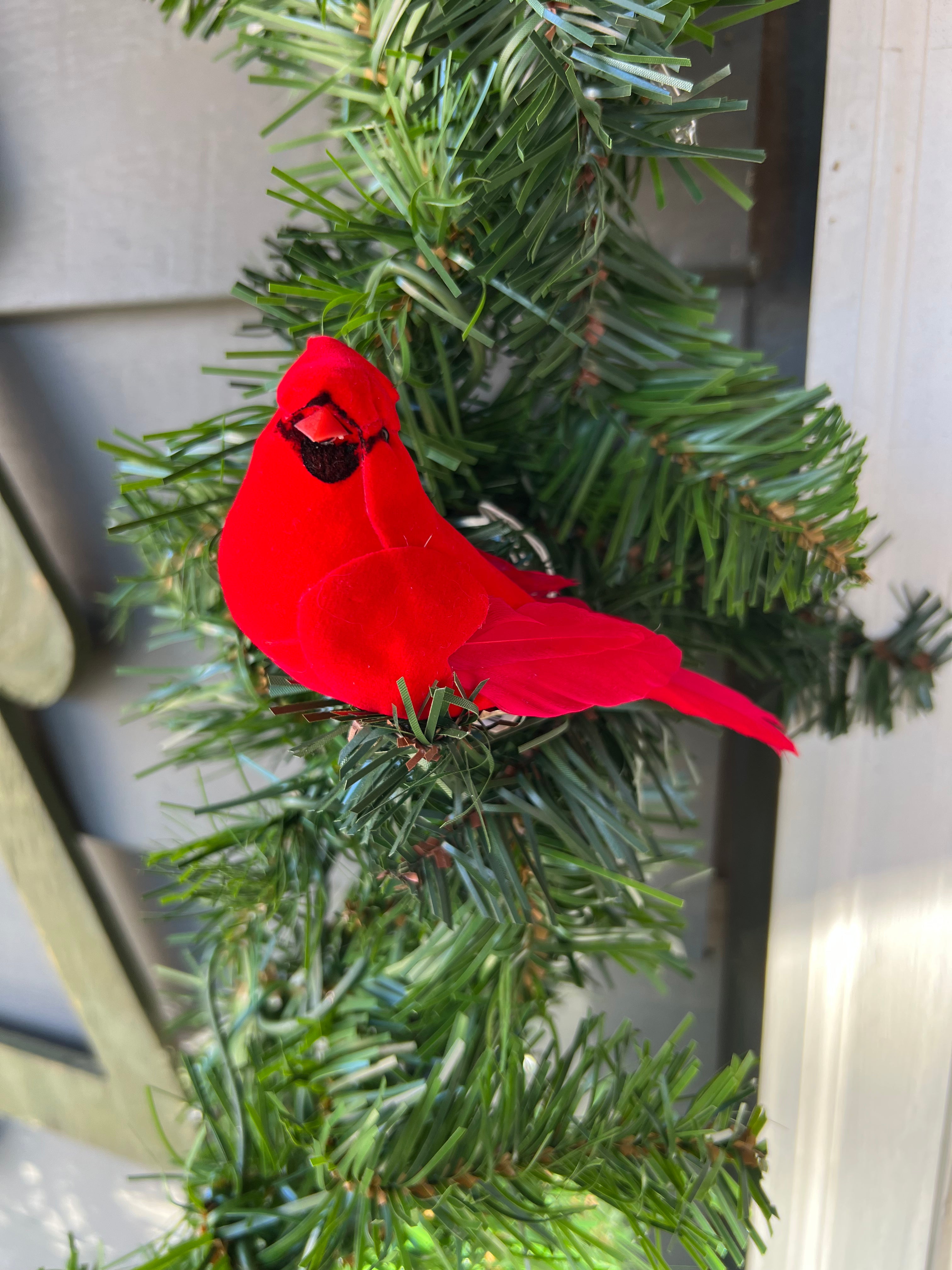 Red Feathered Cardinals