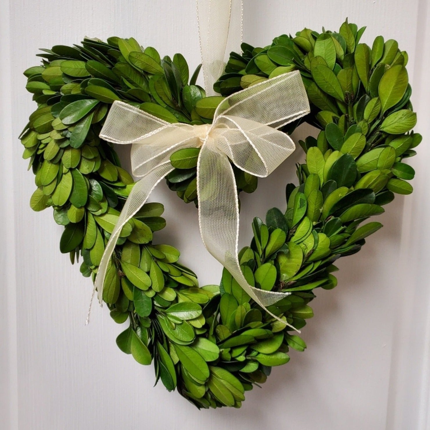 Small Boxwood Wreaths - 6, 8, and 10”