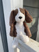 Fudge Puppy by Jellycat - brown & white puppy