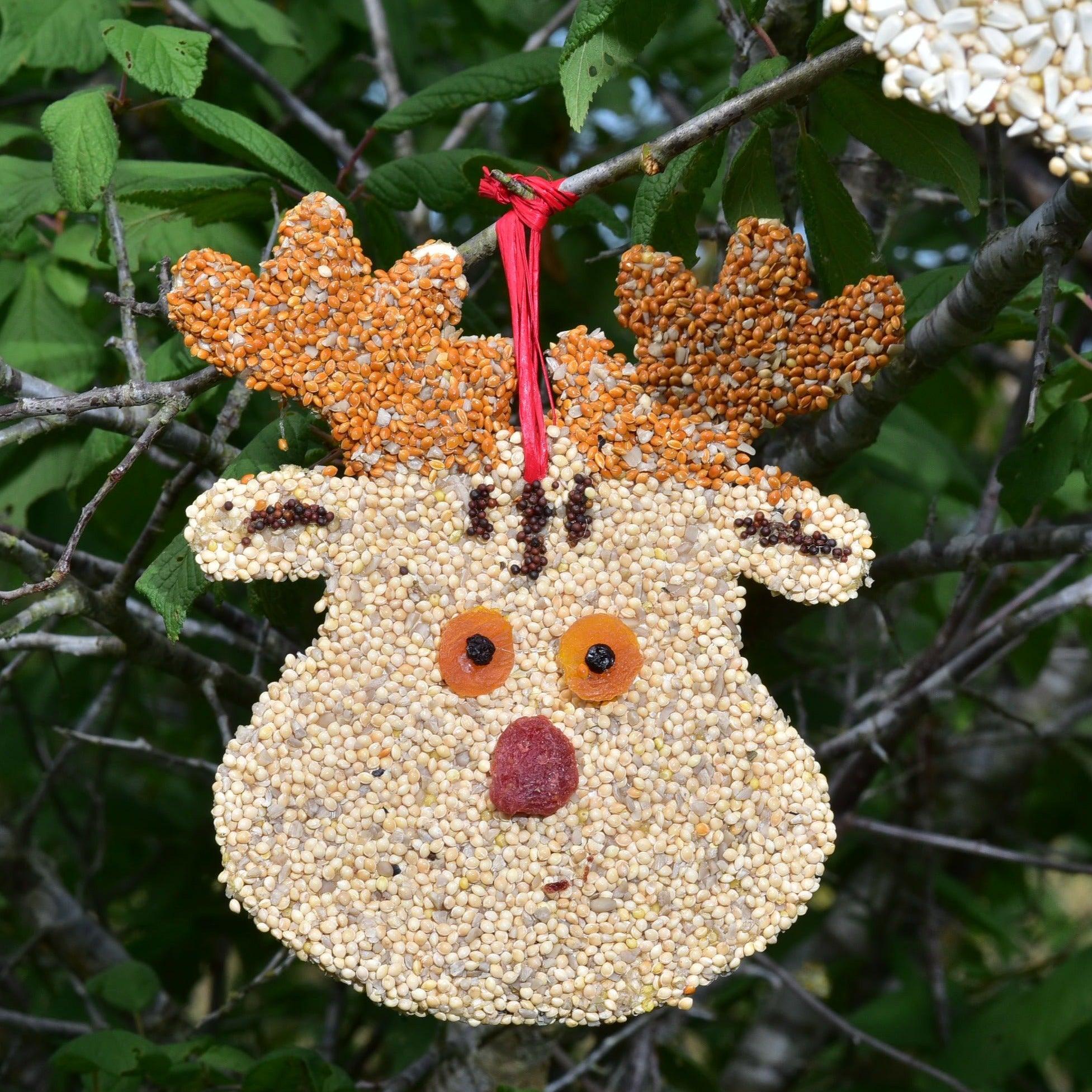 Christmas Birdseed Ornaments - reindeer